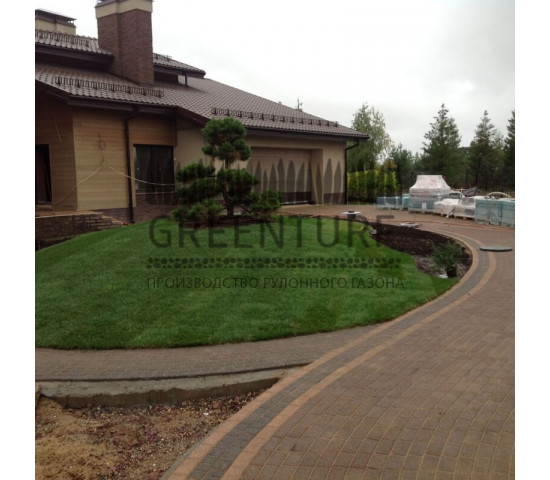 Устройство рулонного газона в коттеджном поселке - фото - 1