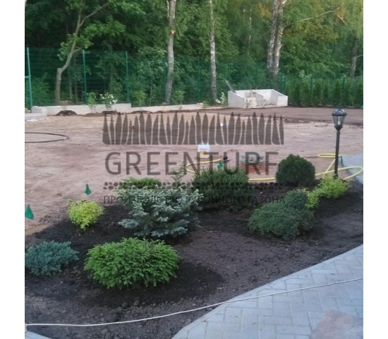 Озеленение участка загородного дома - фото - 3