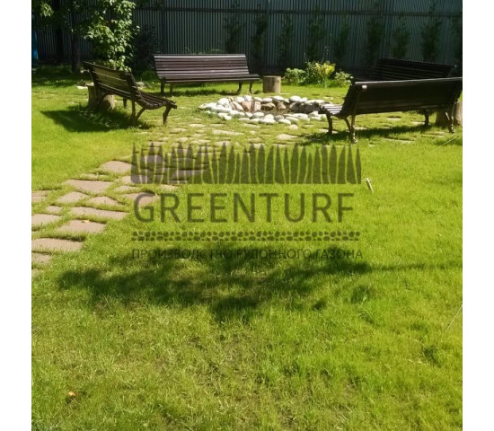 Озеленение частного домовладения - фото - 20