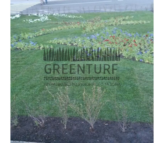 Озеленение части территории около Префектуры ВАО - фото - 1